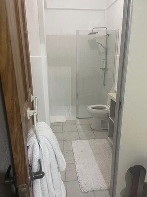 Regadera, toallas, jabón, shampoo 