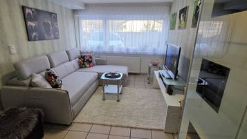 Fernseher