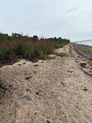 A sandy path leading to a beach with sparse vegetation.