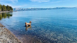 En hund i en sjö med klart vatten, omgiven av berg och en klar himmel.