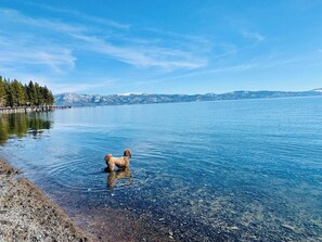 Beach - Keeley's Cabin: Tahoe 2-bed + fenced yard, walk to beach, dogs OK (Carnelian Bay)