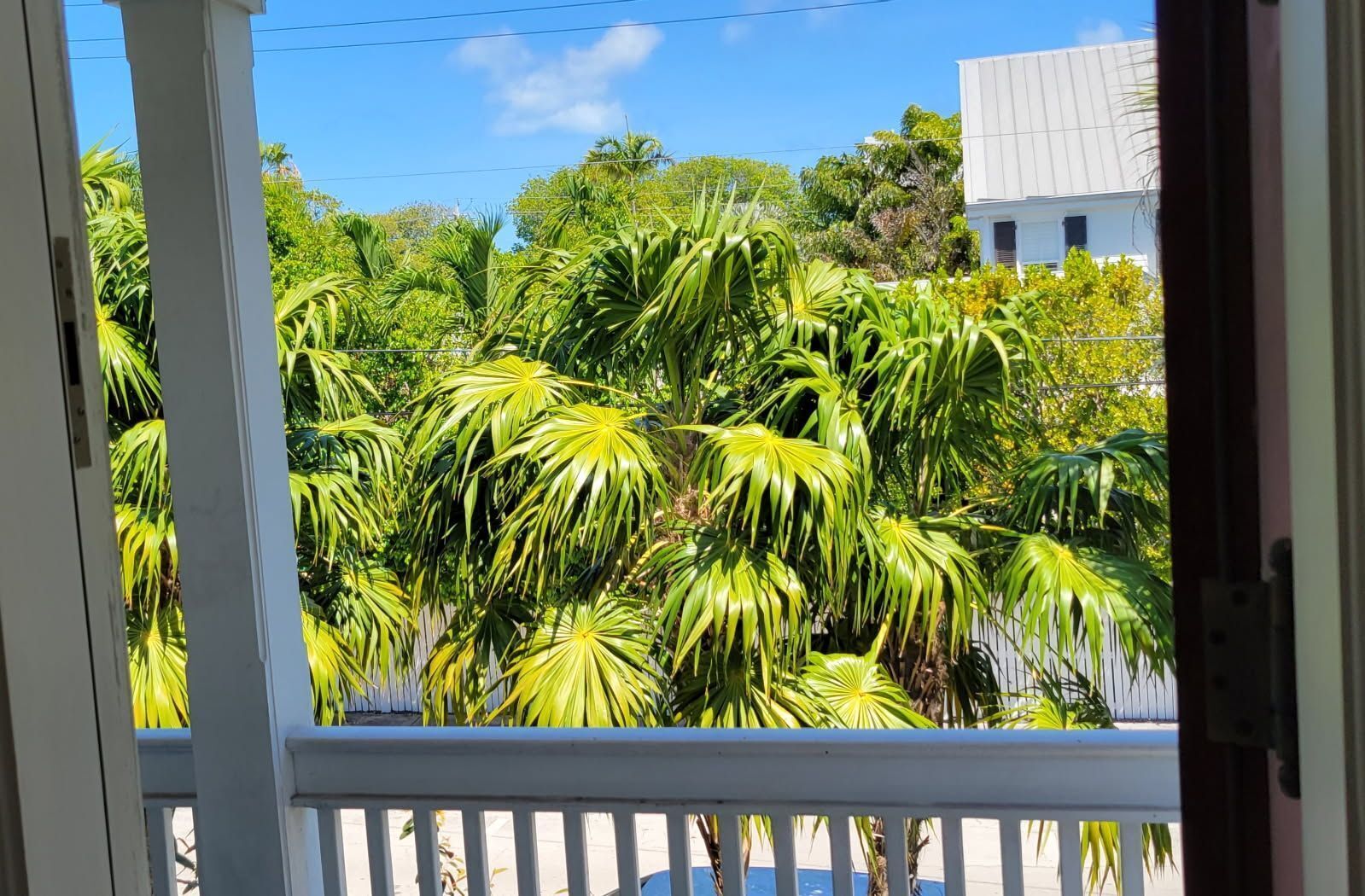 A view from a balcony with a white railing, overlooking a lush garden with various tropical plants and a building in the background.