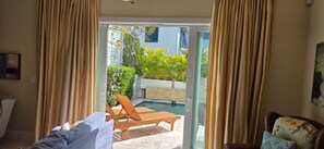 TV, books - Key West Luxury Home with pool, 28 day minimum (Key West)
