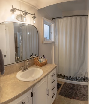Hair dryer, towels, soap, toilet paper - 4 Bedroom Home with Hot tub! (Meridian)