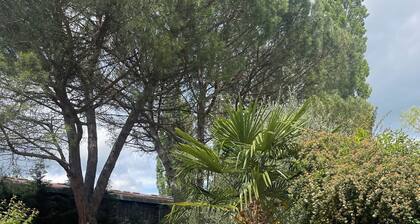 Chez Julie & Thomas charming house ac swimming pool near Rocamadour Padirac 15pers