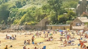 A beach with people sunbathing and swimming, surrounded by greenery and buildings.