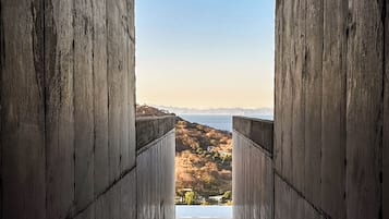 Ărea da propriedade