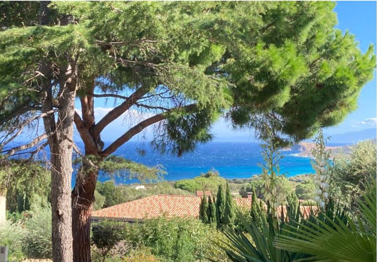 オーナーのプロフィール画像