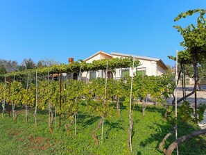 Property grounds - Casa Vlah by Interhome (Medulin)