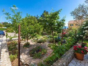 Property grounds - AKELAVA 3 / HR-05548-03 by Interhome (Crikvenica)