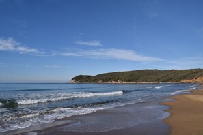 A beach with clear blue water, sandy shore, and a forested hill in the background. - agriturismo barattis (Piombino)