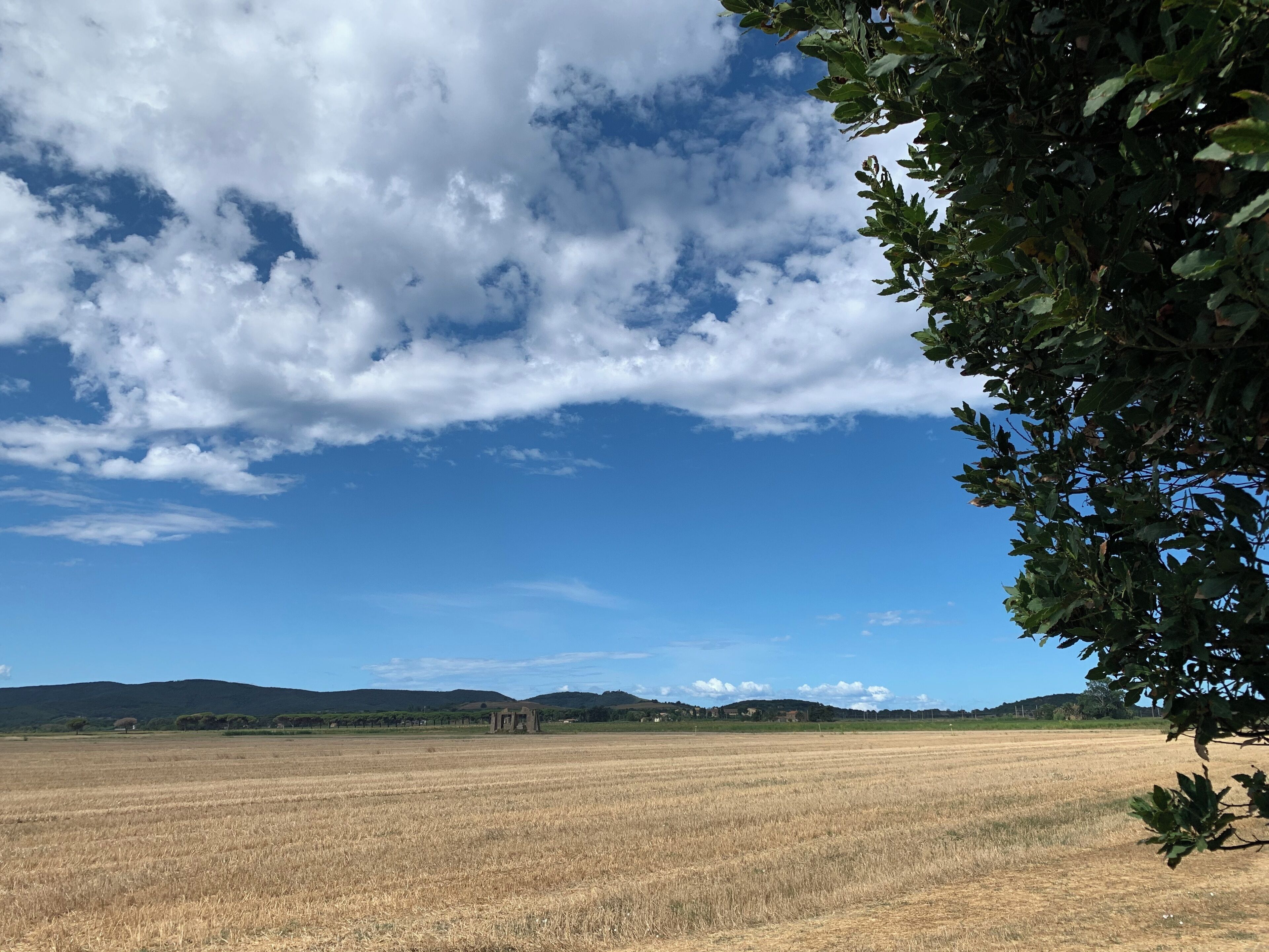 Condo, Patio | Miscellaneous