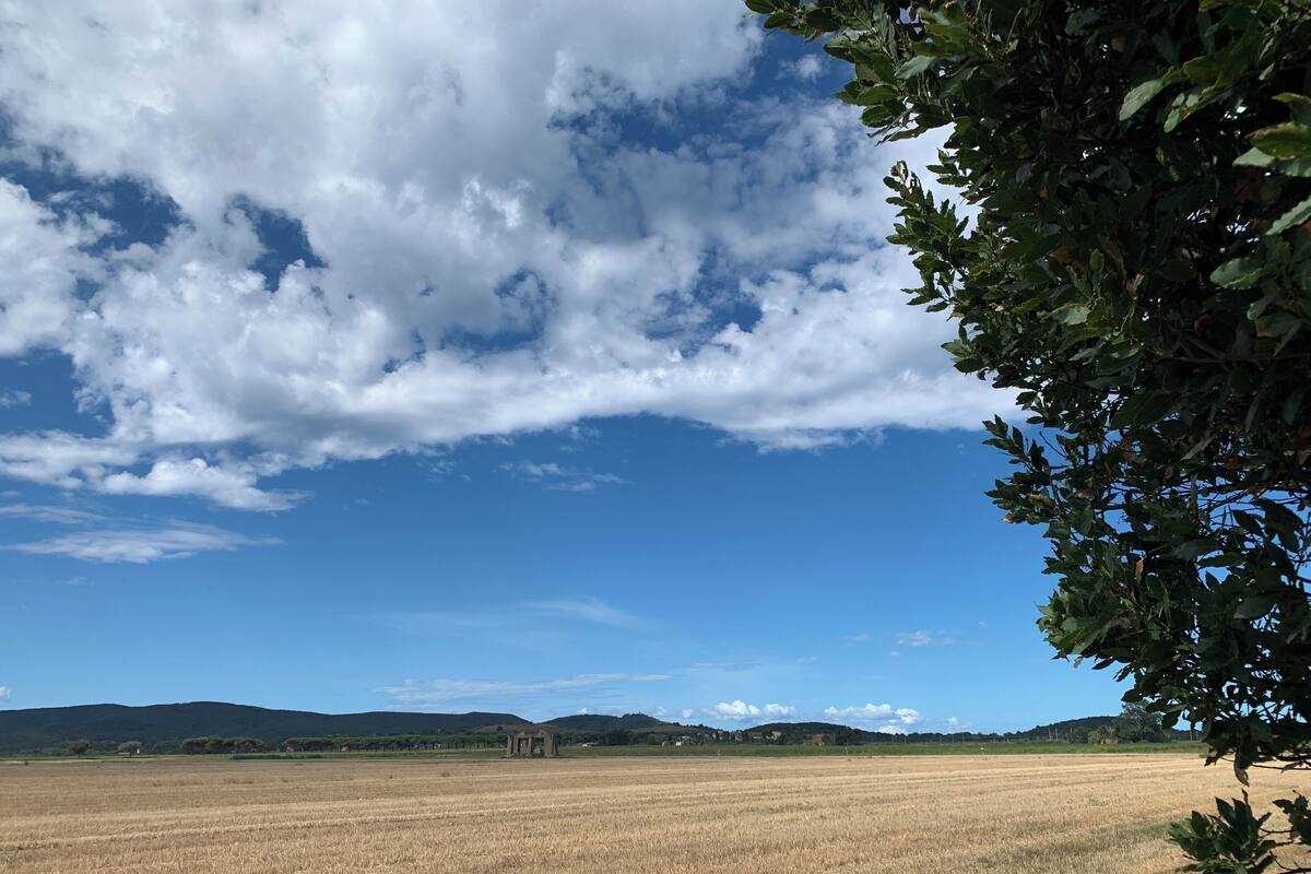 Leilighet, terrasse | Diverse