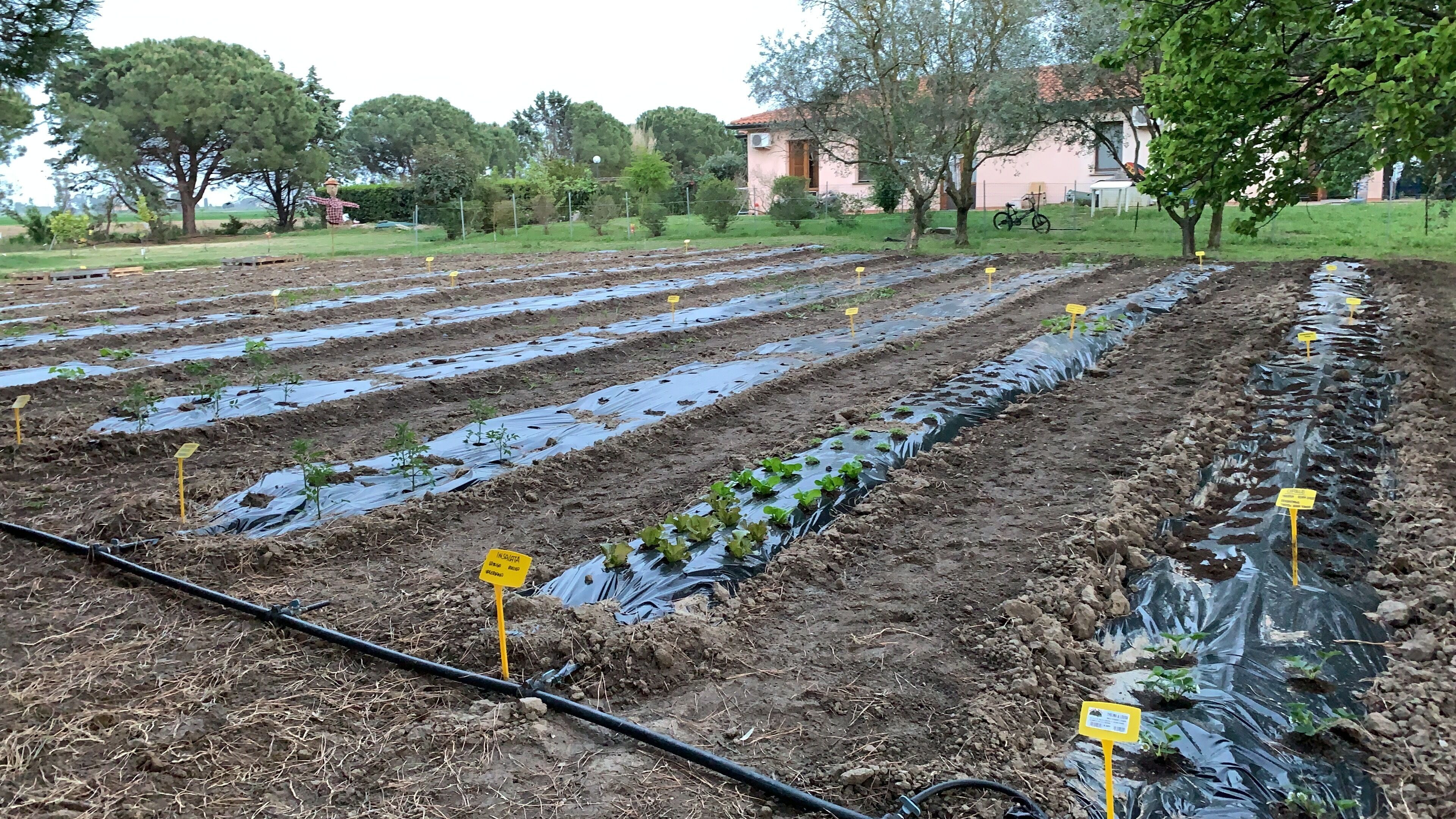 Àrea exterior de l'allotjament