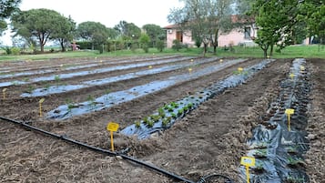 Àrea exterior de l'allotjament