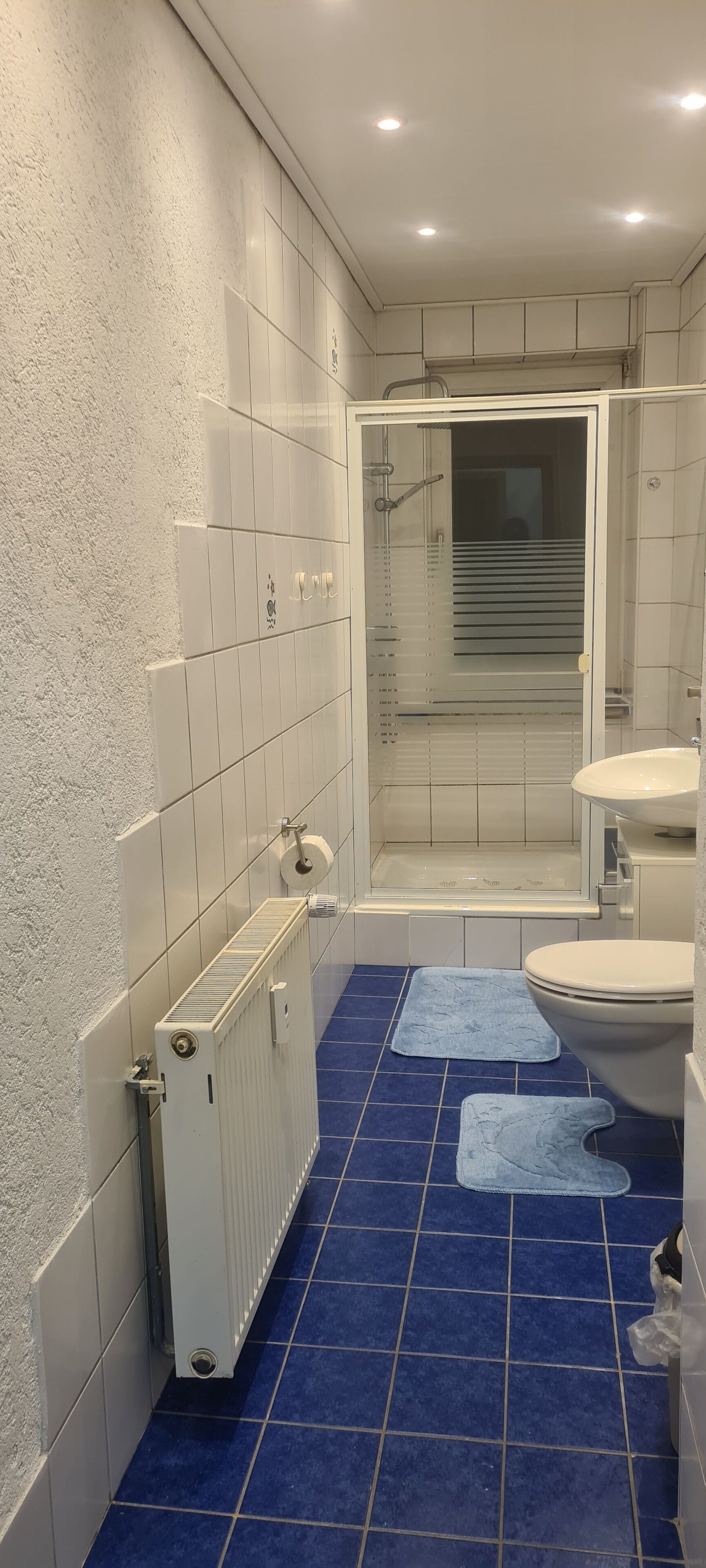 Shower, hair dryer, towels, toilet paper