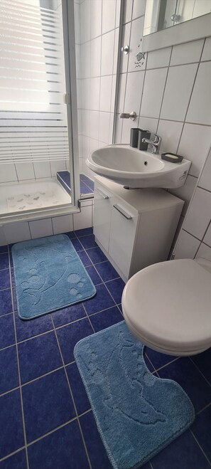 Shower, hair dryer, towels, toilet paper - Merci vacation apartment (Niestetal)