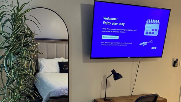 Quarto de hotel com cama, escrivaninha, cadeira, televisão e planta em vaso.