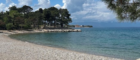 Ranta
