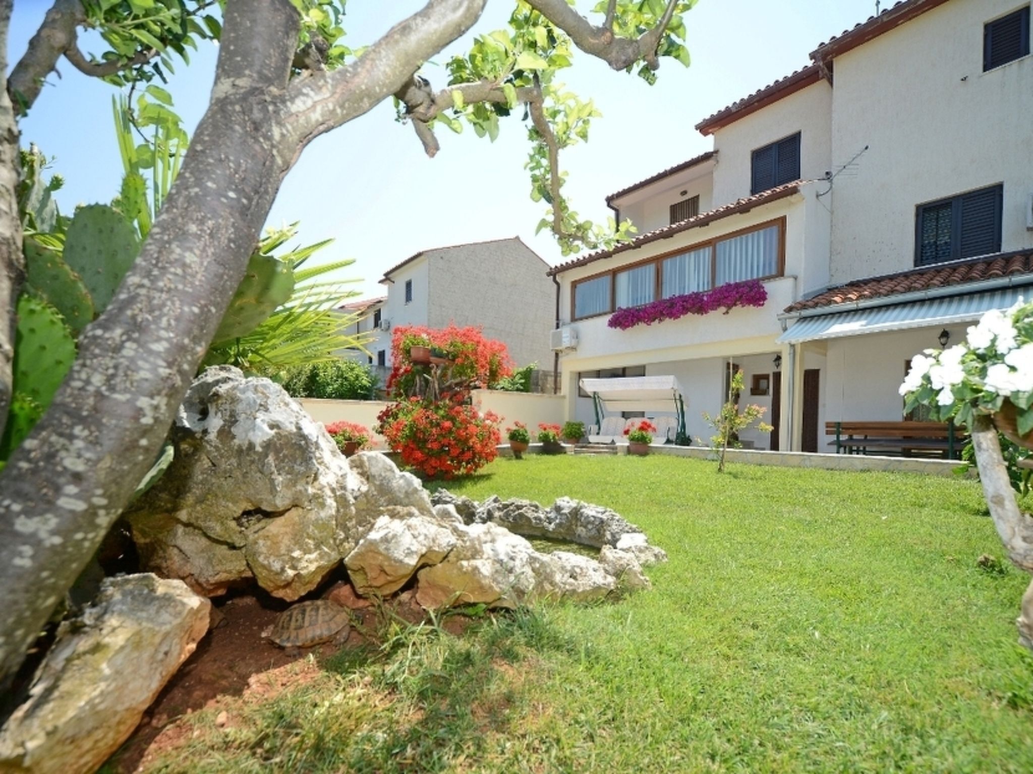 Áreas de la propiedad