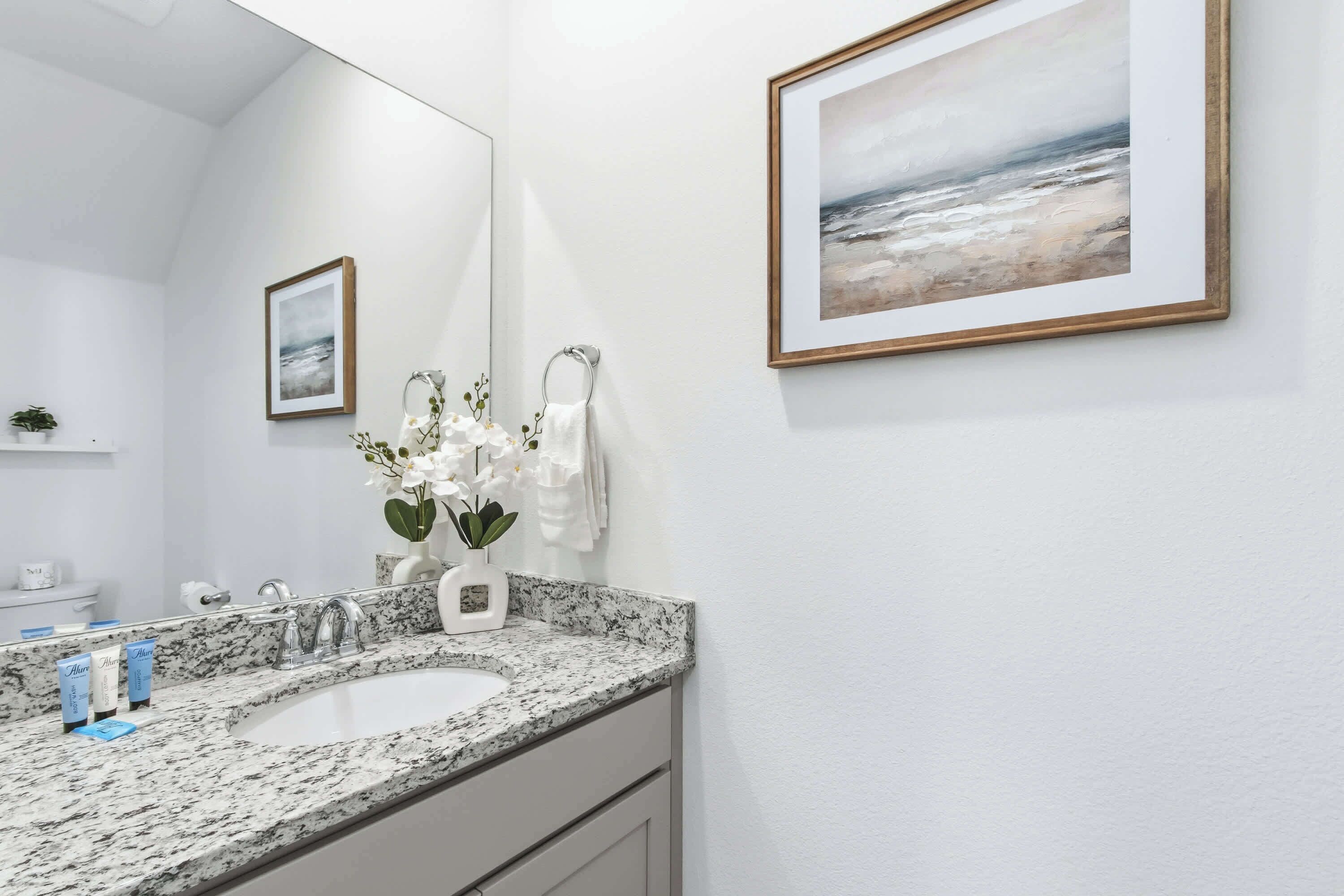 Een badkamer met een granieten aanrecht, twee wastafels, een grote spiegel en kunstwerken in lijsten aan de wanden.