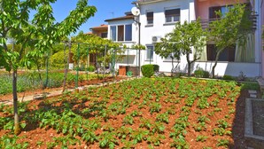 Unclassified image, 3 of 13, button - Apartment 1230 by Interhome (Pula)