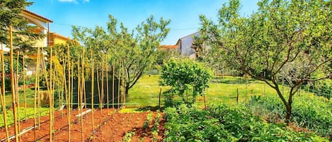 Terrain de lâhĂ©bergement