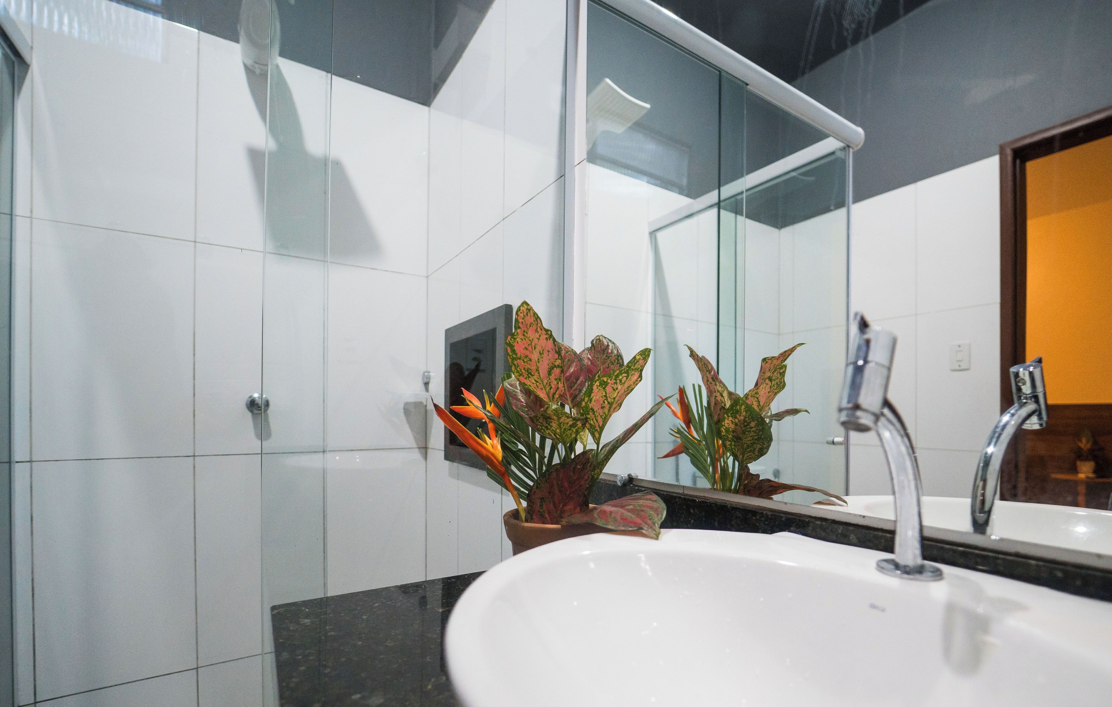 Un baño moderno con un lavamanos blanco, un espejo grande y plantas decorativas.