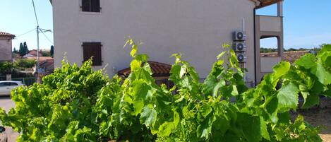 Terrain de lâhĂ©bergement