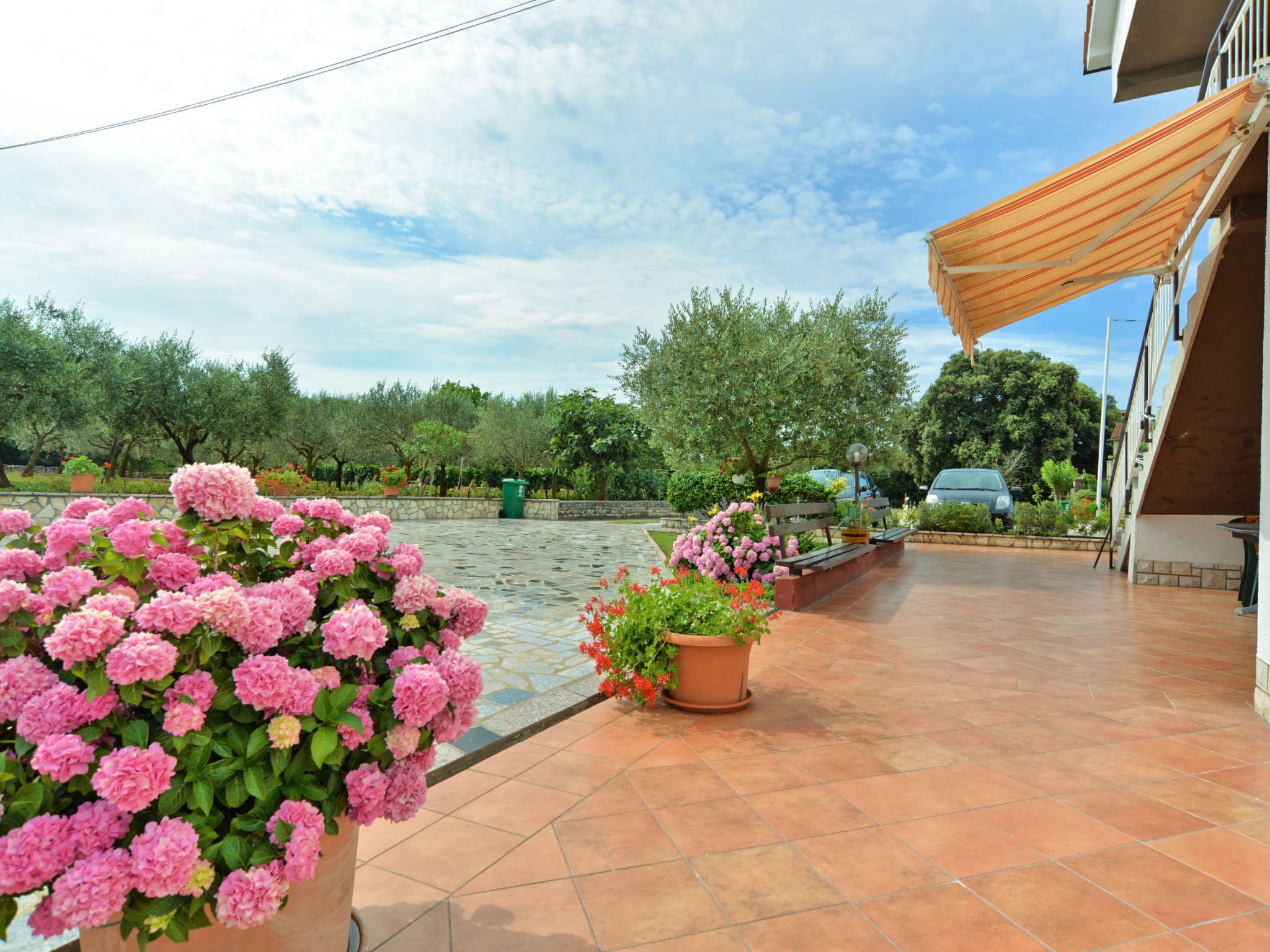 Overnattingsstedets uteområder