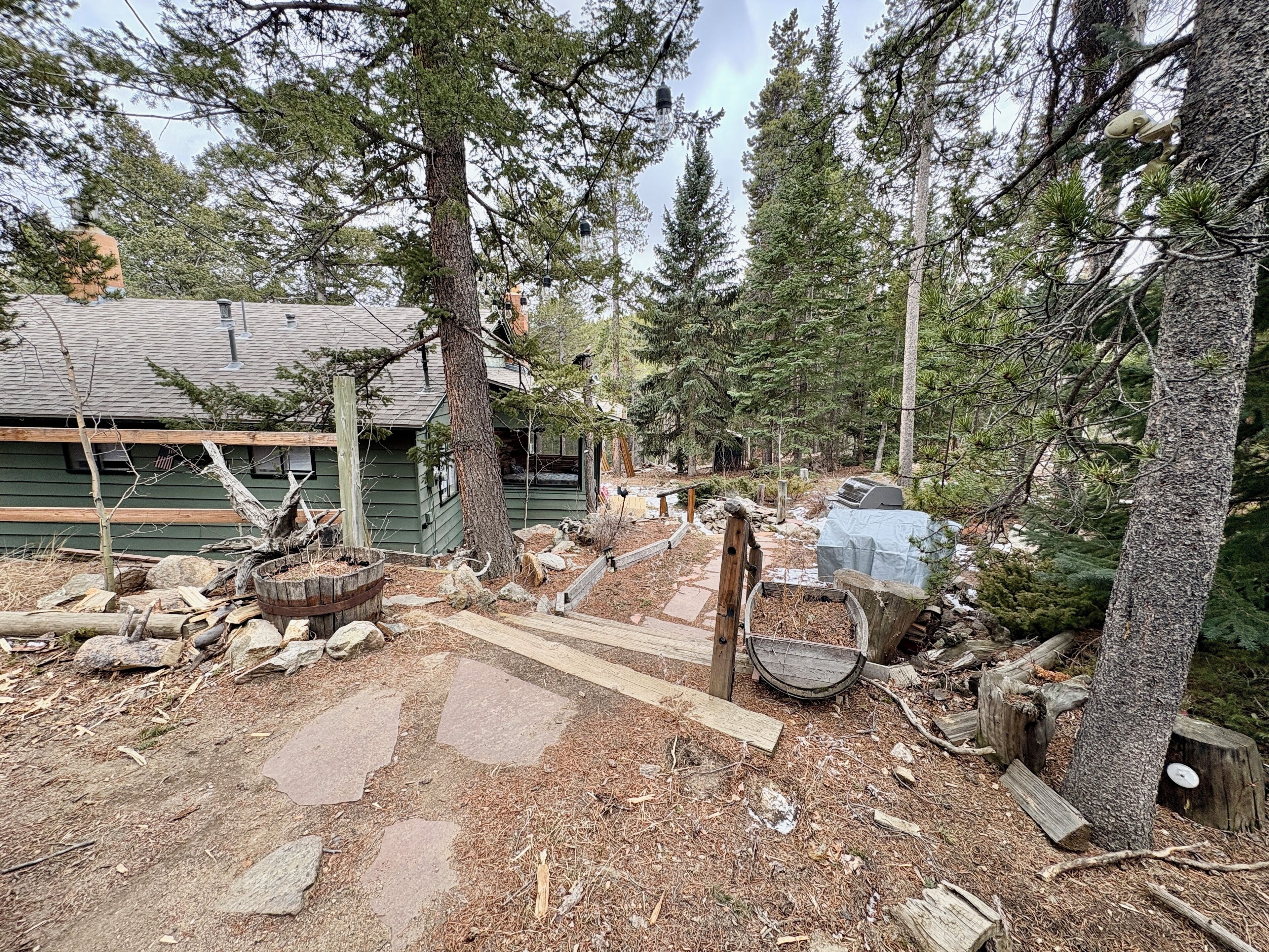 Un chalet rustique entouré d’une forêt dense, avec un sentier de pierres menant à l’entrée.