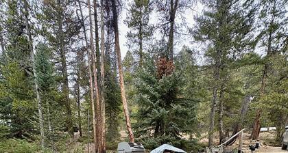 The HouseWolf Hideaway ~ A Pup-Friendly, Mountain Cabin!