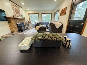 Smart TV, fireplace, books