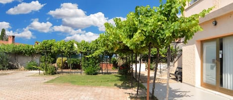 المنطقة المحيطة بالمنشأة