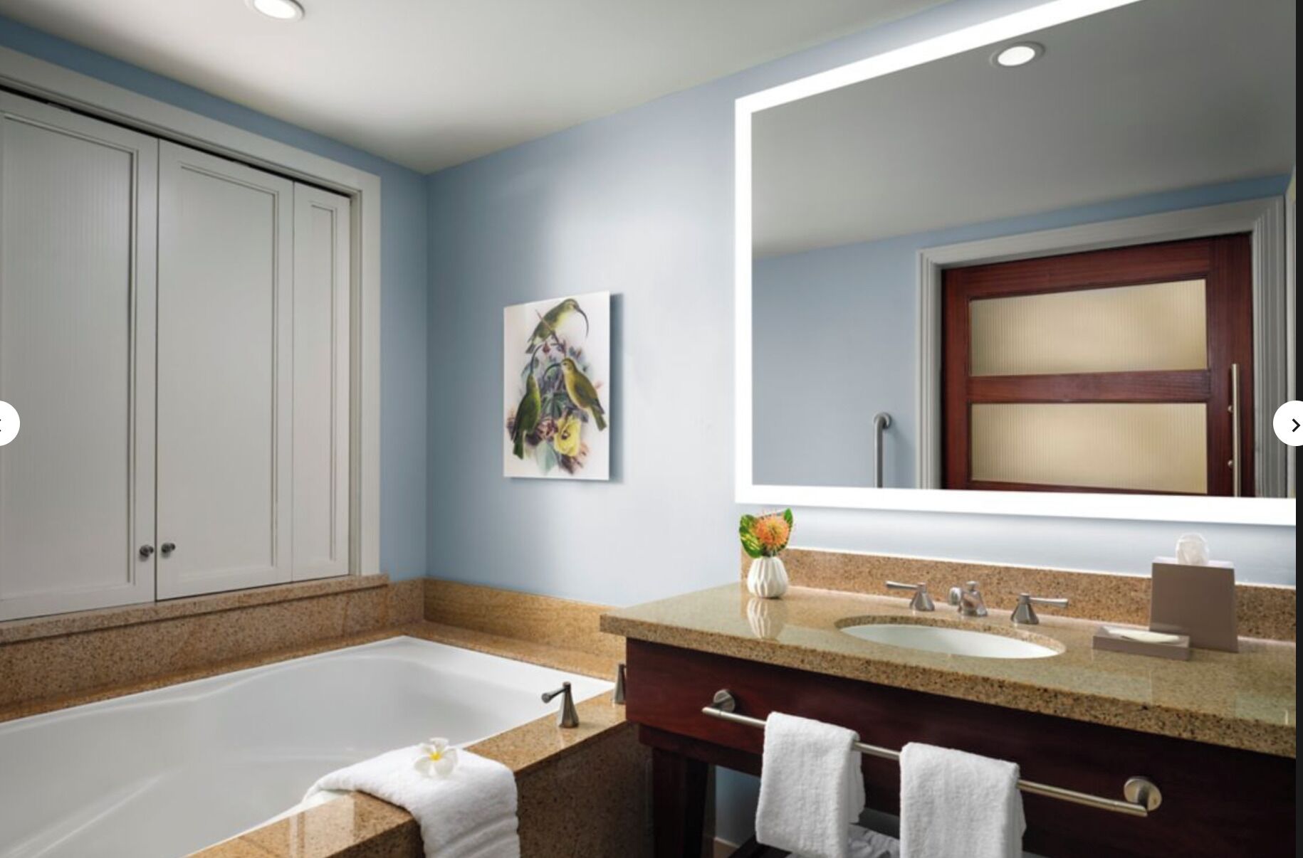 Shower, jetted tub, hair dryer, towels