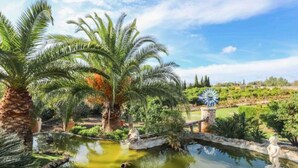 A garden with palm trees, a pond, and a windmill. - Blaypetit by Interhome (Muro)
