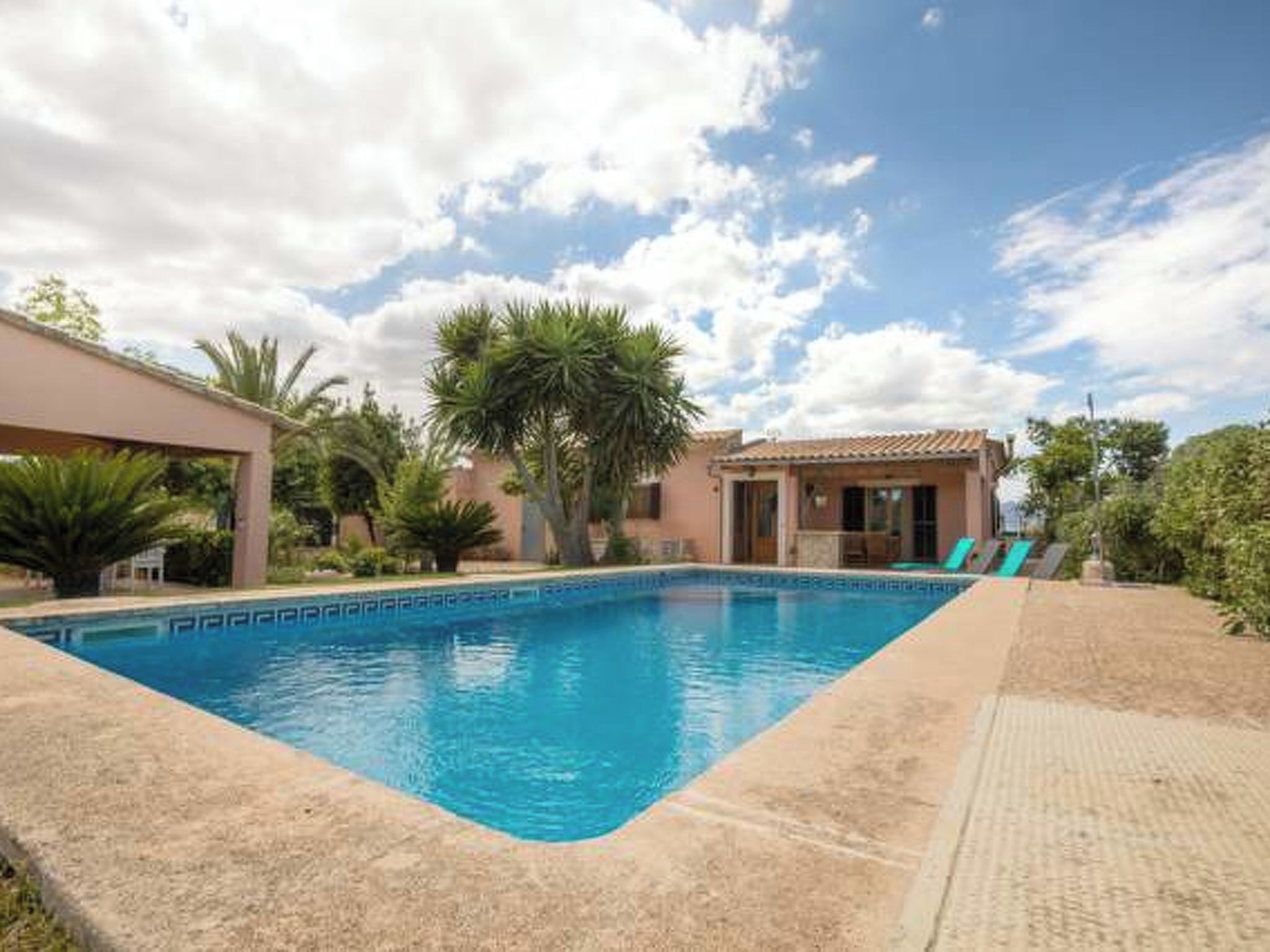 A swimming pool with a tiled edge, surrounded by palm trees and a building with a tiled roof.