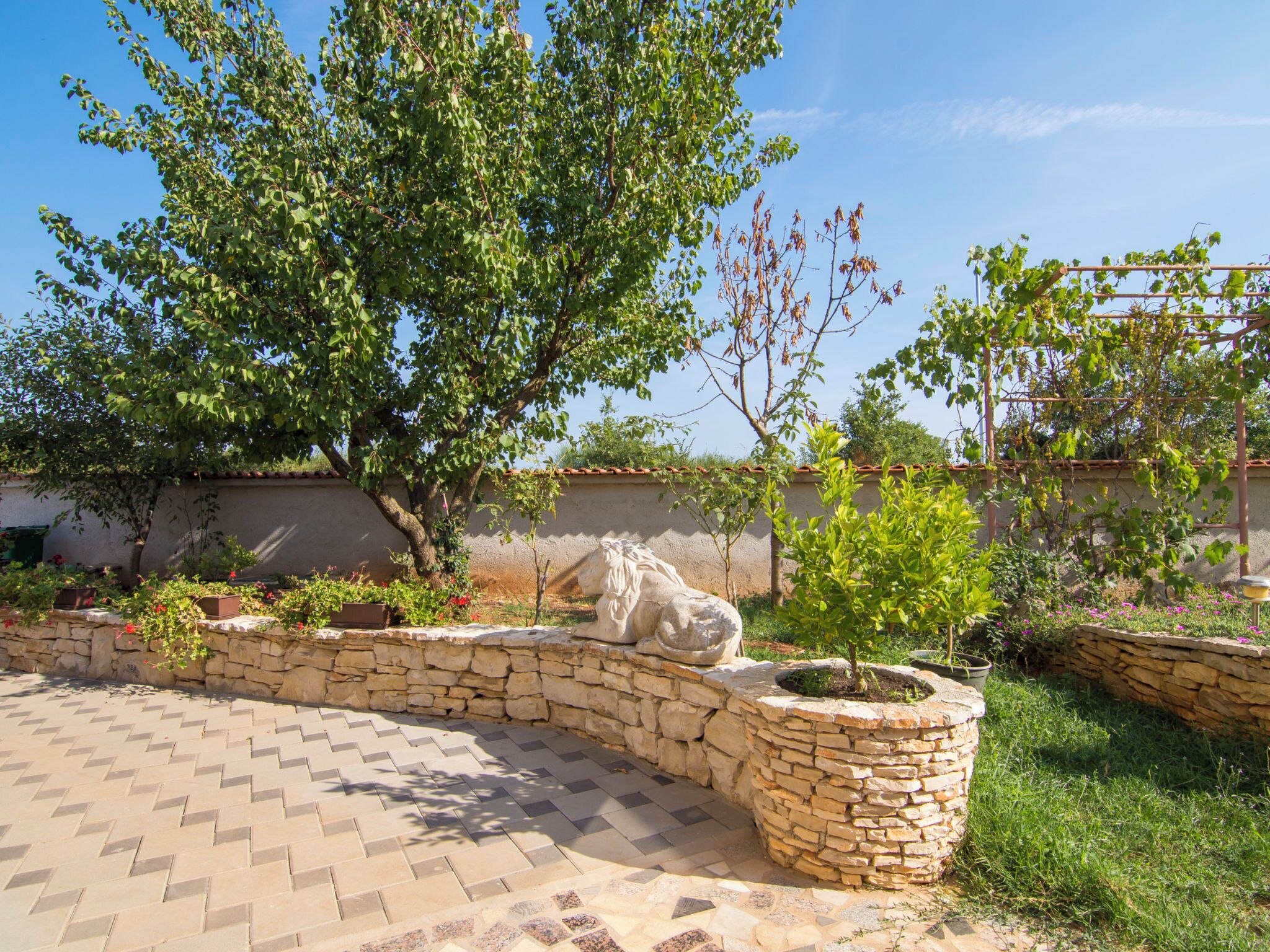 Terrein van de accommodatie