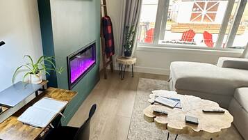 Smart TV, fireplace, books