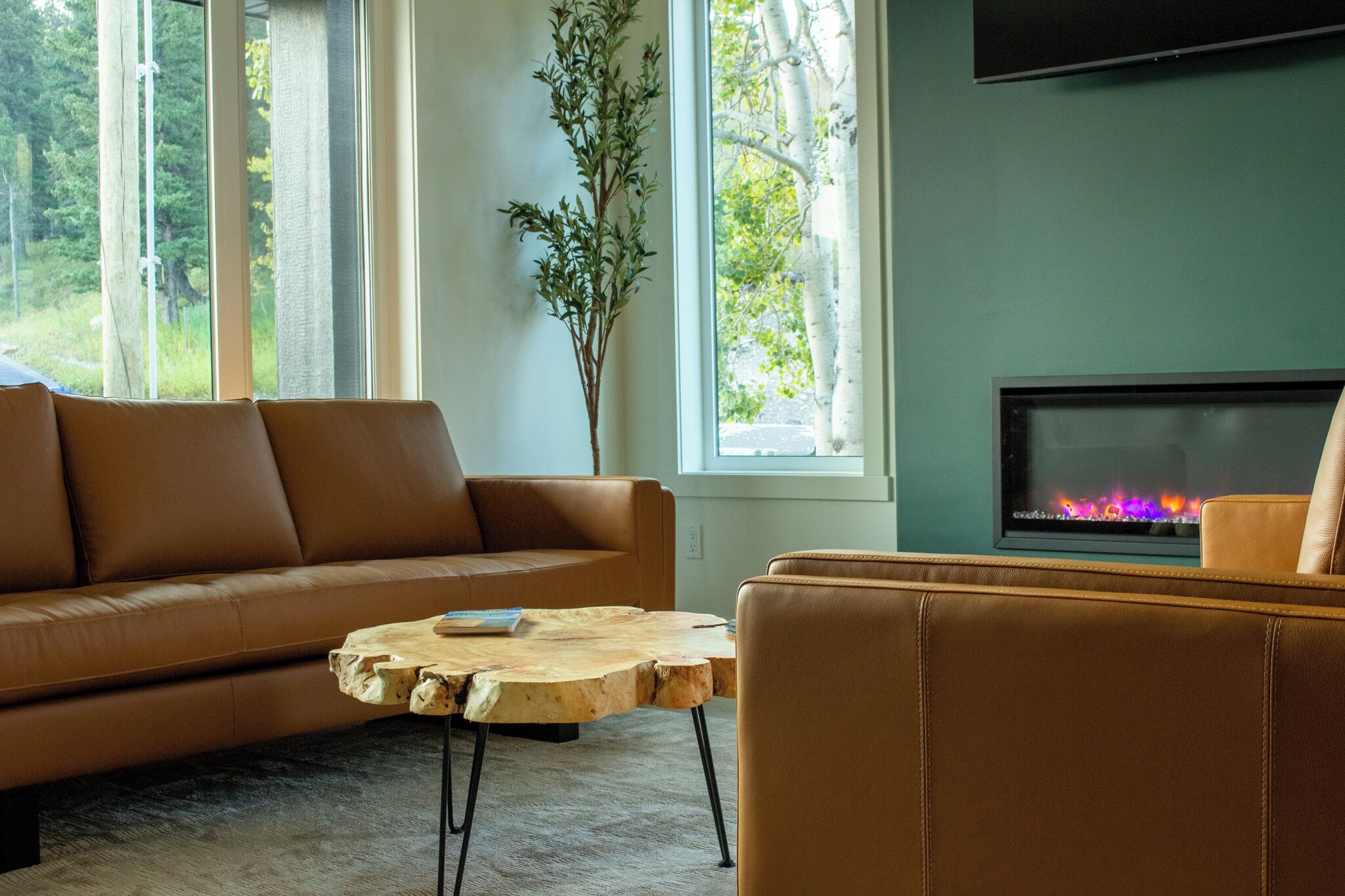 Smart TV, fireplace, books