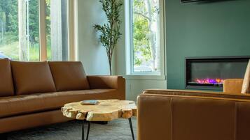 Smart TV, fireplace, books