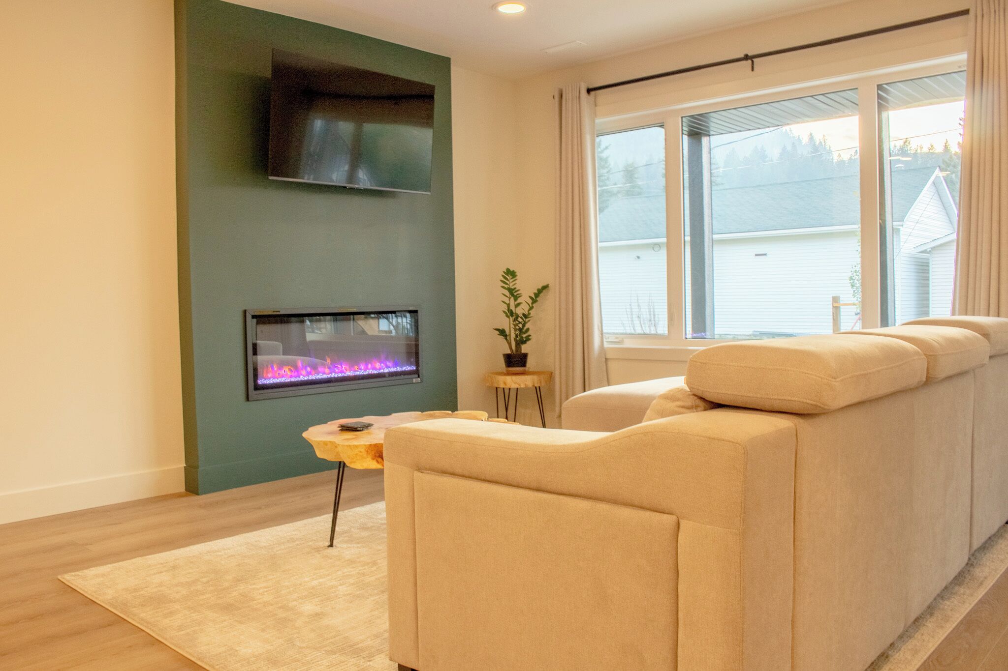 Smart TV, fireplace, books