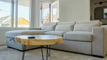 Smart TV, fireplace, books