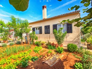 Property grounds - Apartment 1365 by Interhome (Pula)