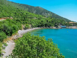 Eine Küstenlandschaft mit freiem Blick auf einen Strand, einen kleinen Steg und einen Hügel mit dichter Vegetation.