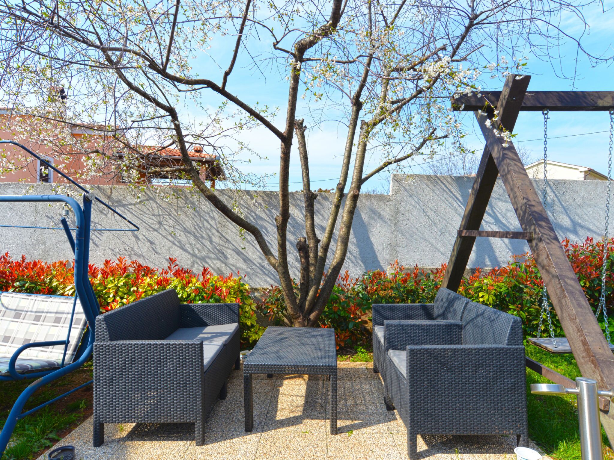 テラス / パティオ