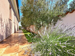 Property grounds - House 2269 by Interhome (Pula)