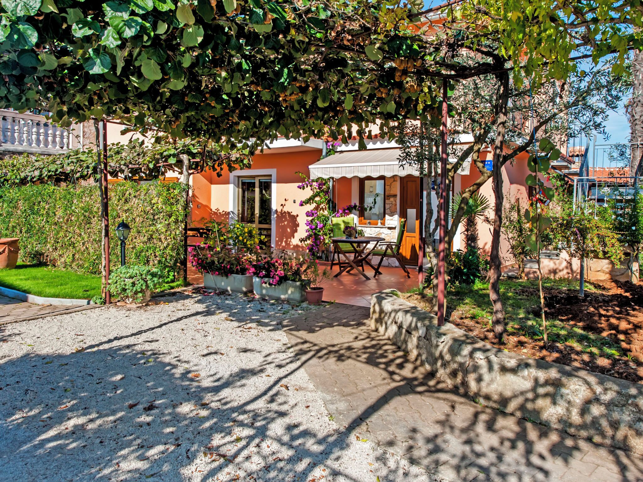 テラス / パティオ