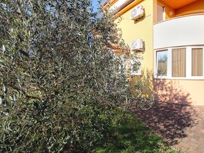Property grounds - Apartment 2375 by Interhome (Medulin/Ližnjan)