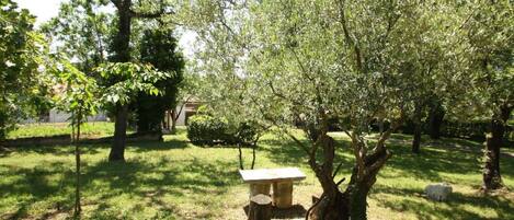 Terrain de lâhĂ©bergement